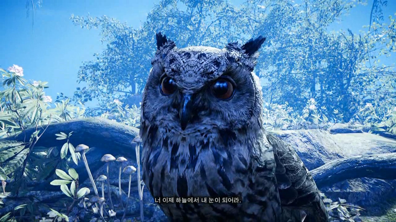 파크라이 프라이멀20160223_201525_03.mkv_20160228_130013.612.jpg