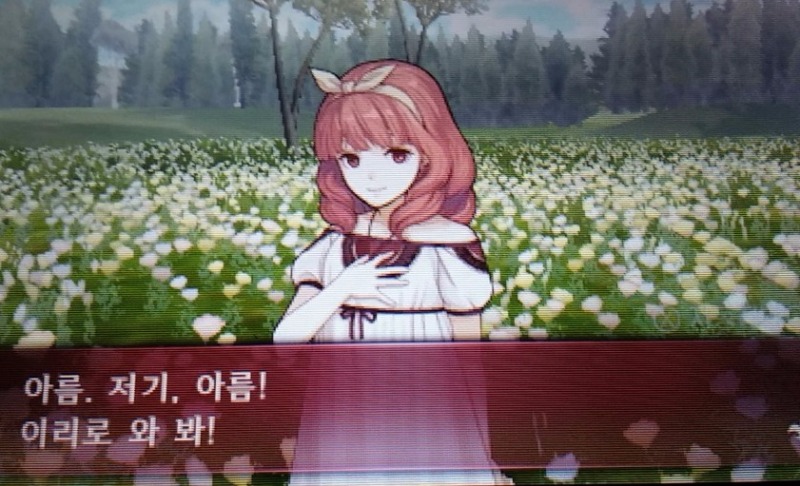 a2.jpg